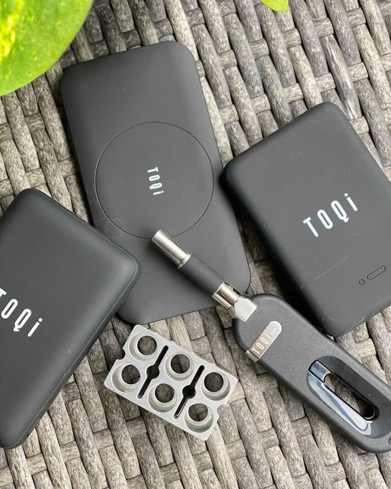 TOQi - A v rare sighting: a TOQi family photo! 🙃 The TOQi...