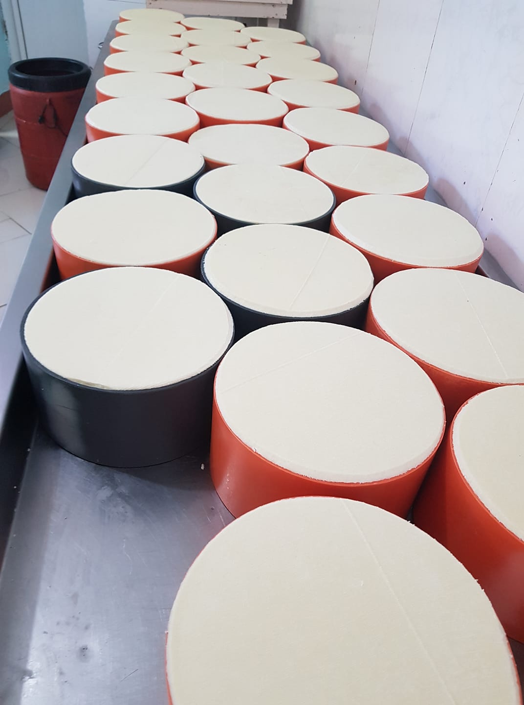 Bulmet Alinani / Coke Cheese | Tirana