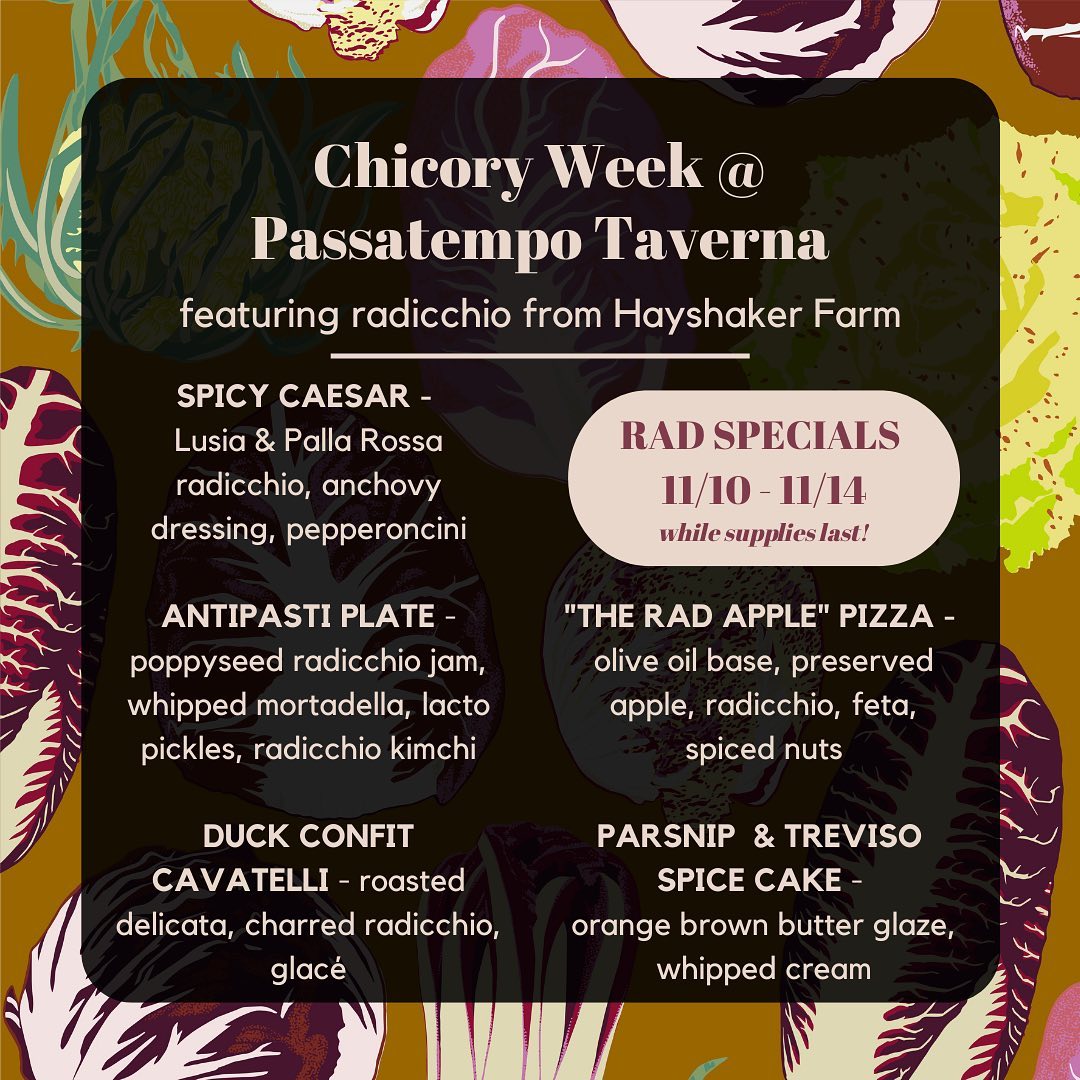 Chicory Week