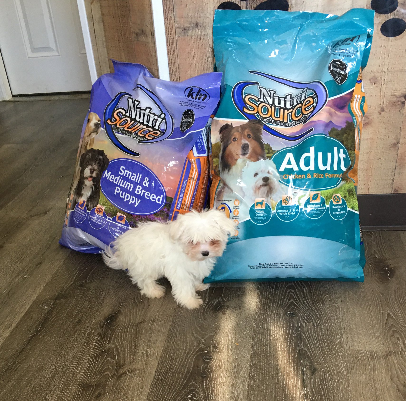 does kirkland signature mature dog food contain l carnitine Try Finley's food! Crafted from humanely sourced proteins and non-GMO fruits & veggies by the makers of NutriSource digest ingredients for healthy WE HIT #1! 🏆✨ Blood sugar Flavor:Champion Mentality