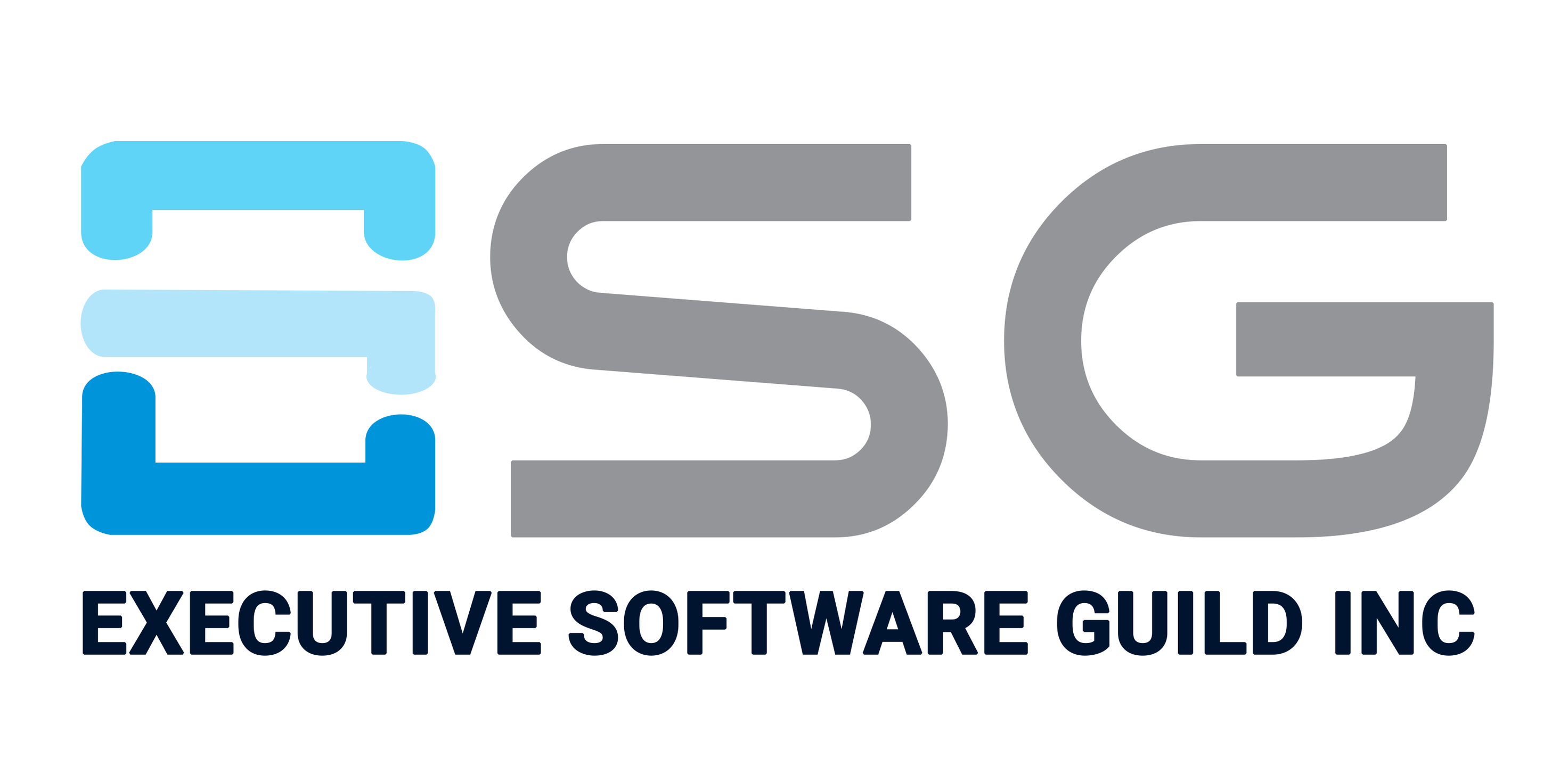 Executive Software Guild Inc | McKinney TX