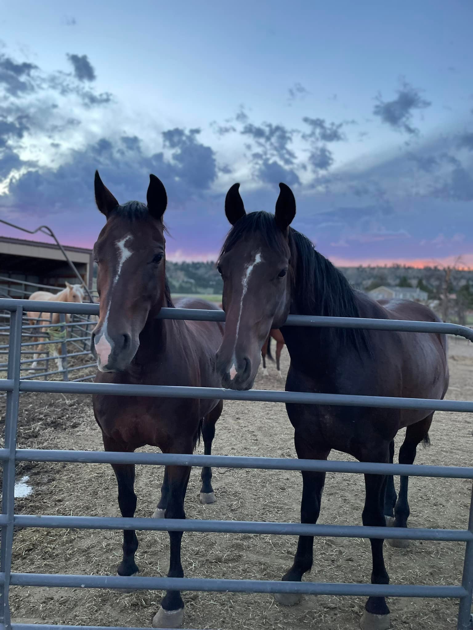 S Diamond K Ranch, LLC