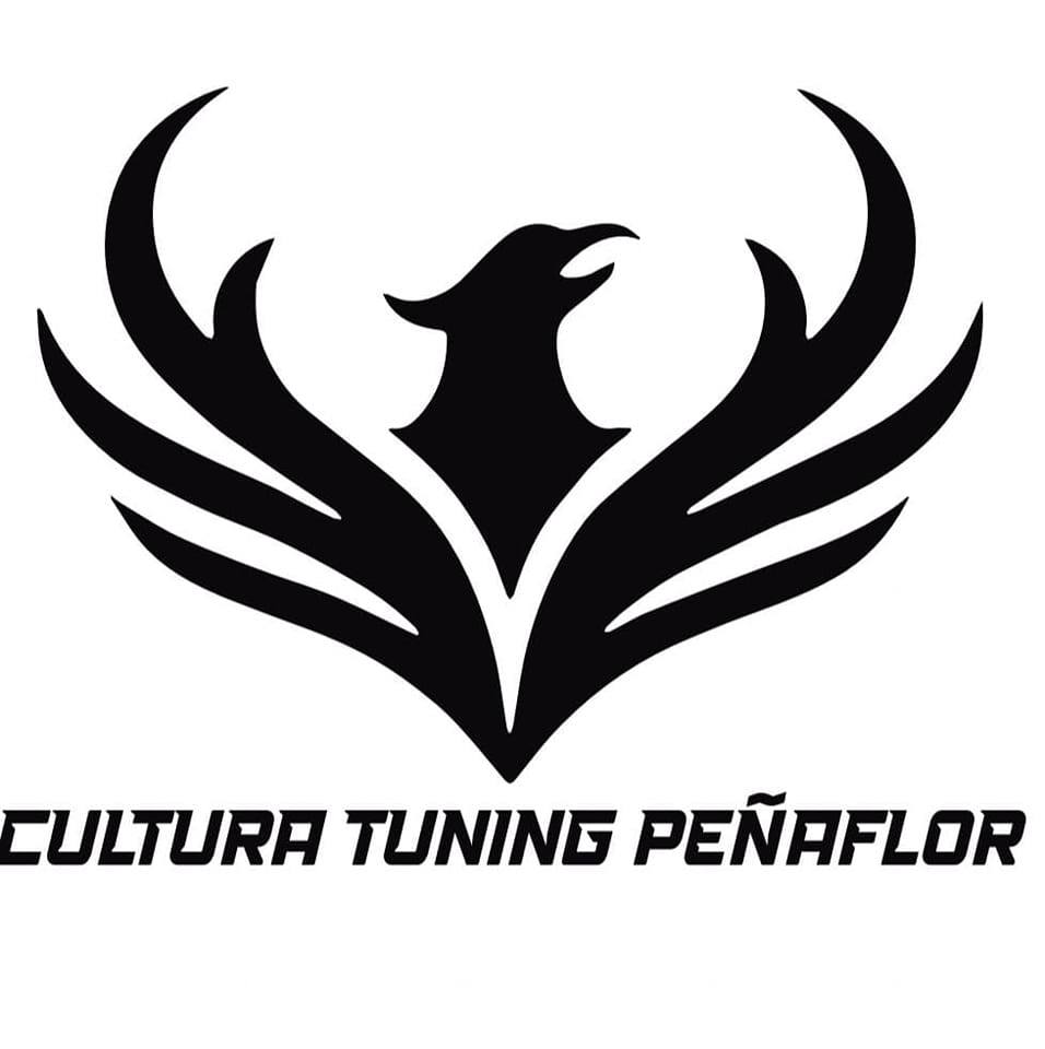 Cultura Tuning Peñaflor