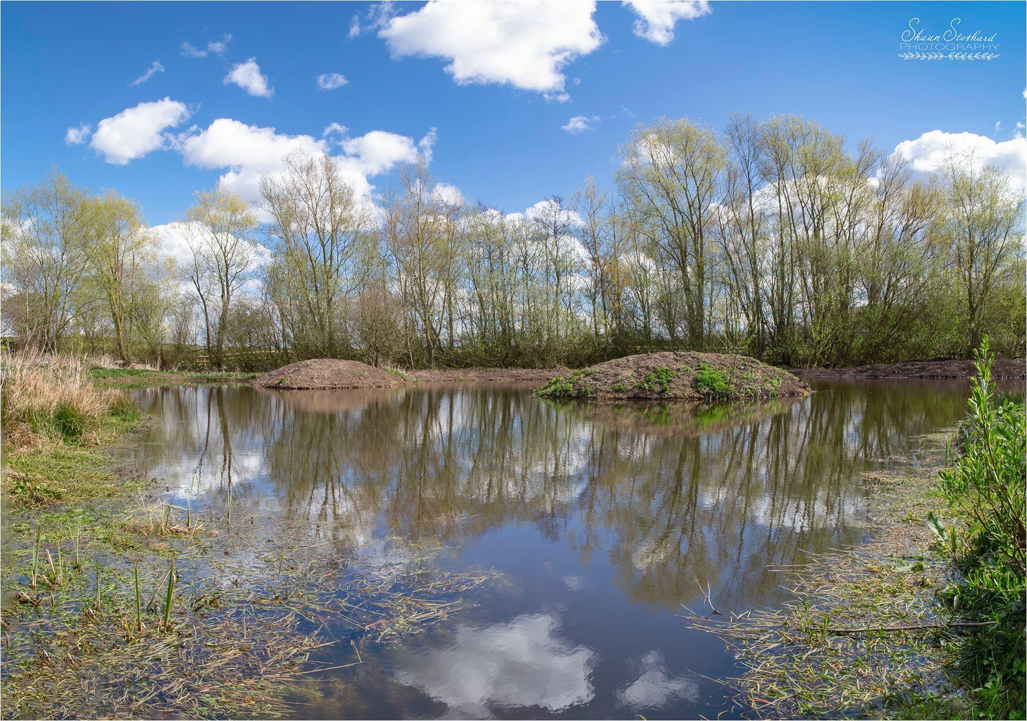 Goosemoor Nature Reserve | Wetherby