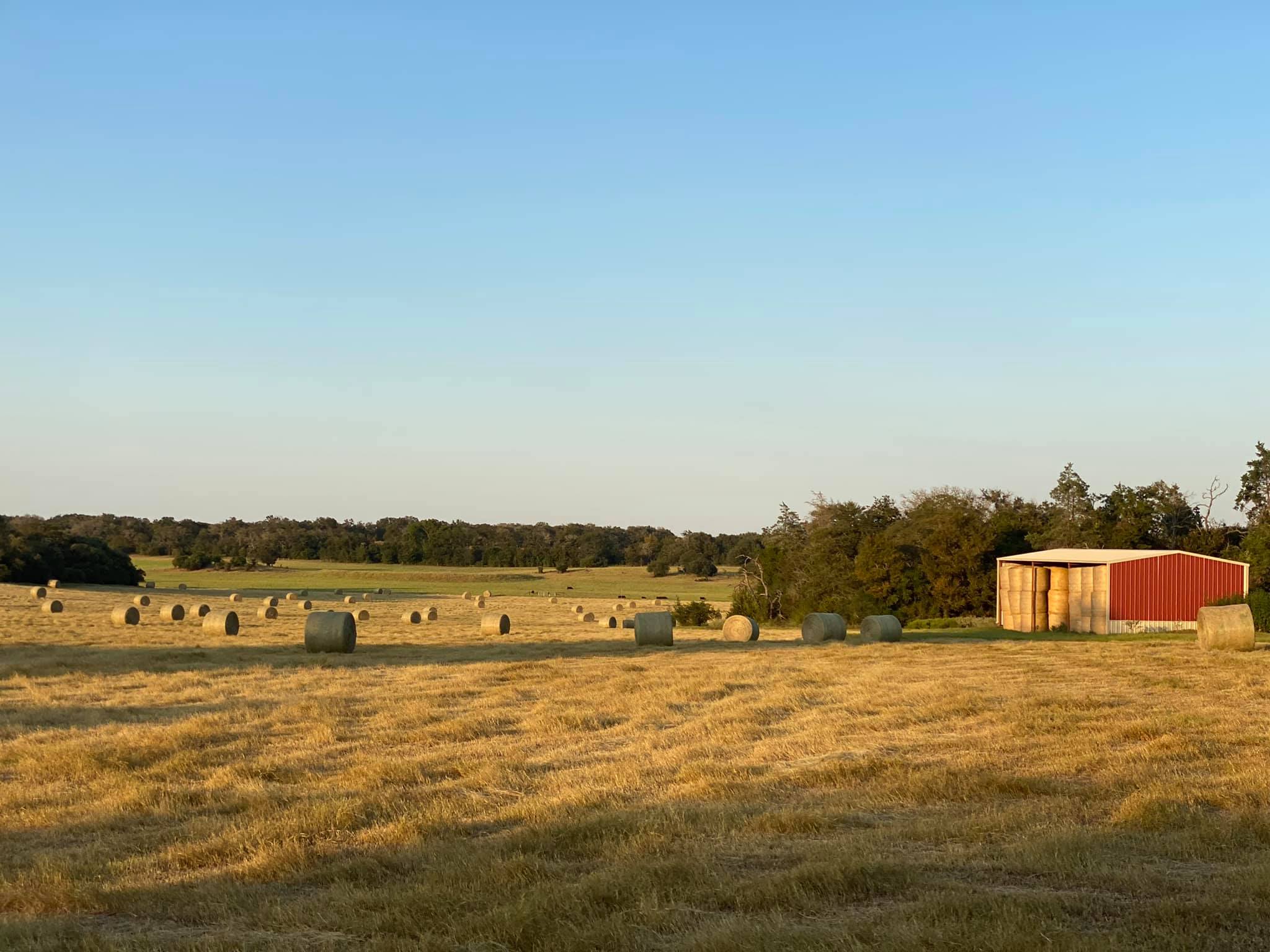 Freedom Ranch