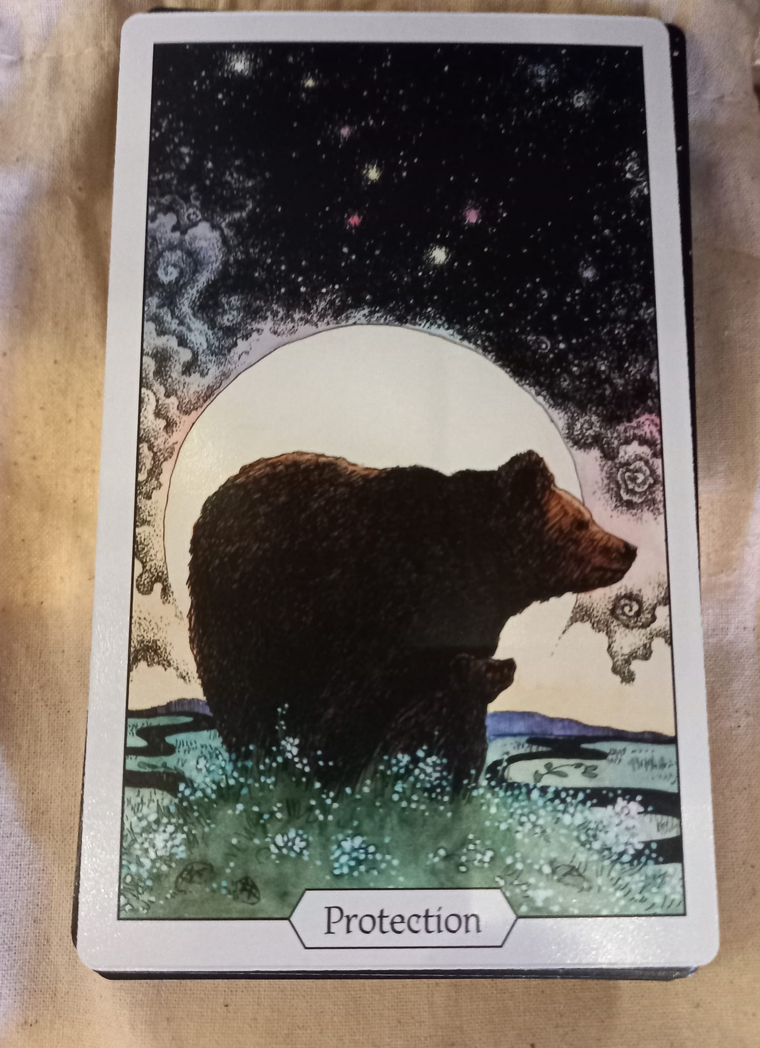 The bear stands as a guardian under the fiery moon, a symbol of