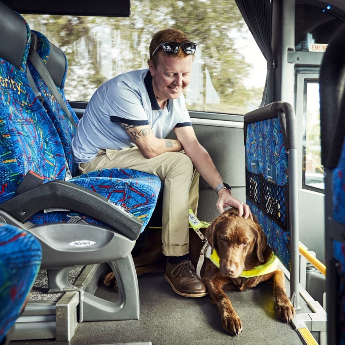 Transwa - Did you know licenced and registered guide and assistance ...