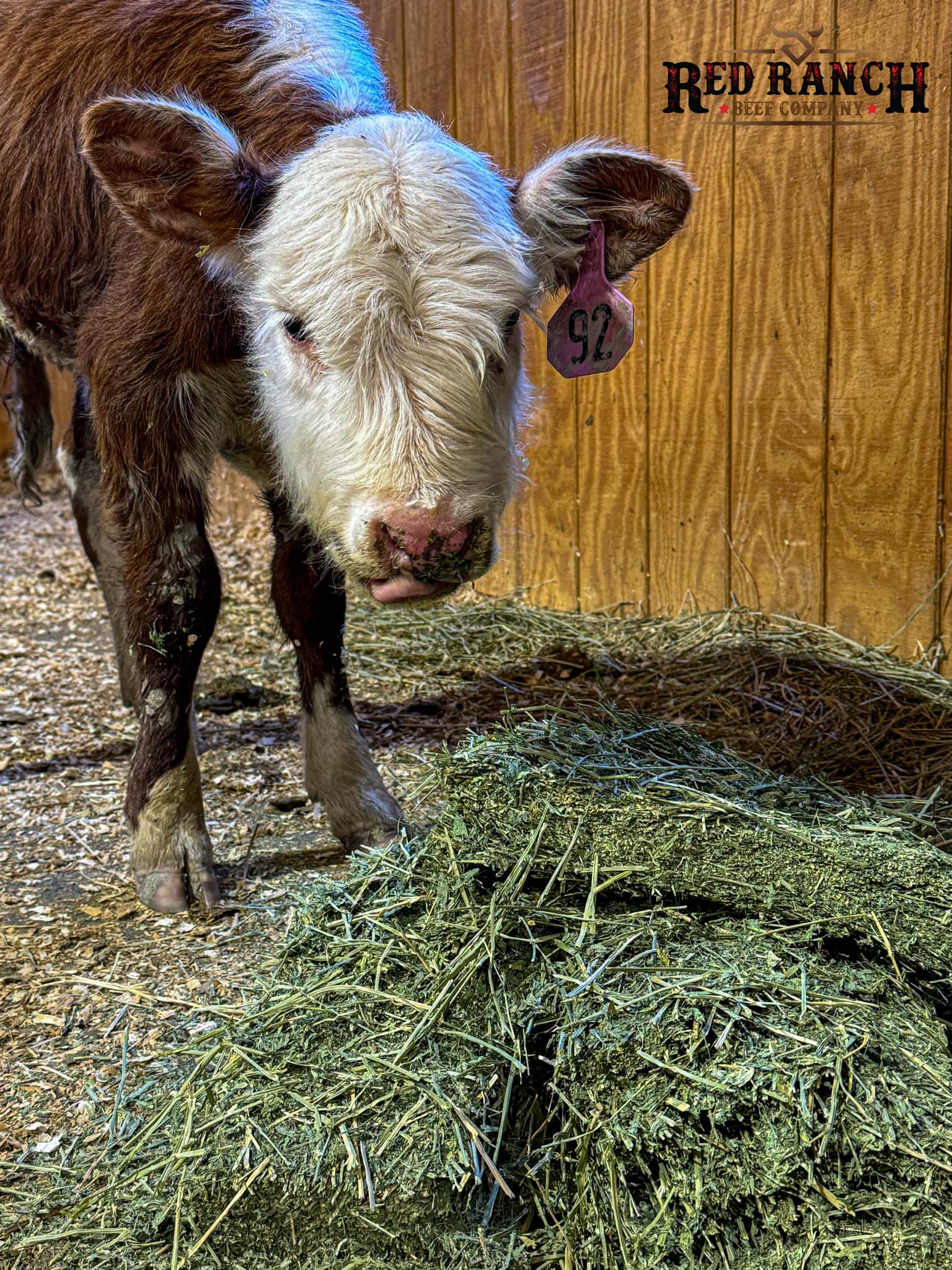 Red Ranch Beef Co. | Crown Point NY