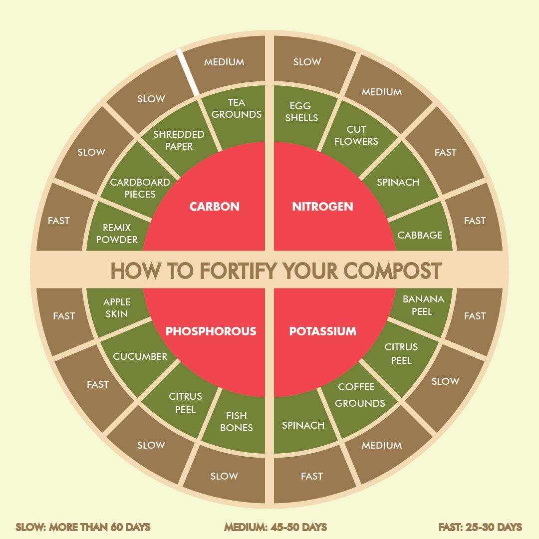 Here's our handy chart to... - Daily Dump - Compost at Home | Facebook