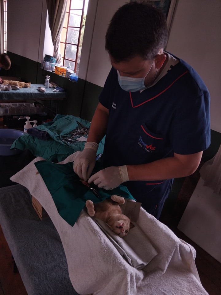 EberVet Community Veterinary Care