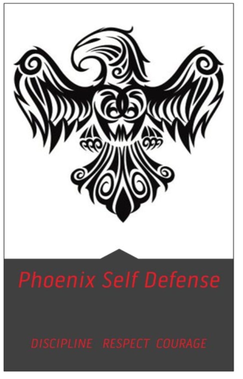 New boxer. Team training | By Phoenix self defense | Stay in your ...