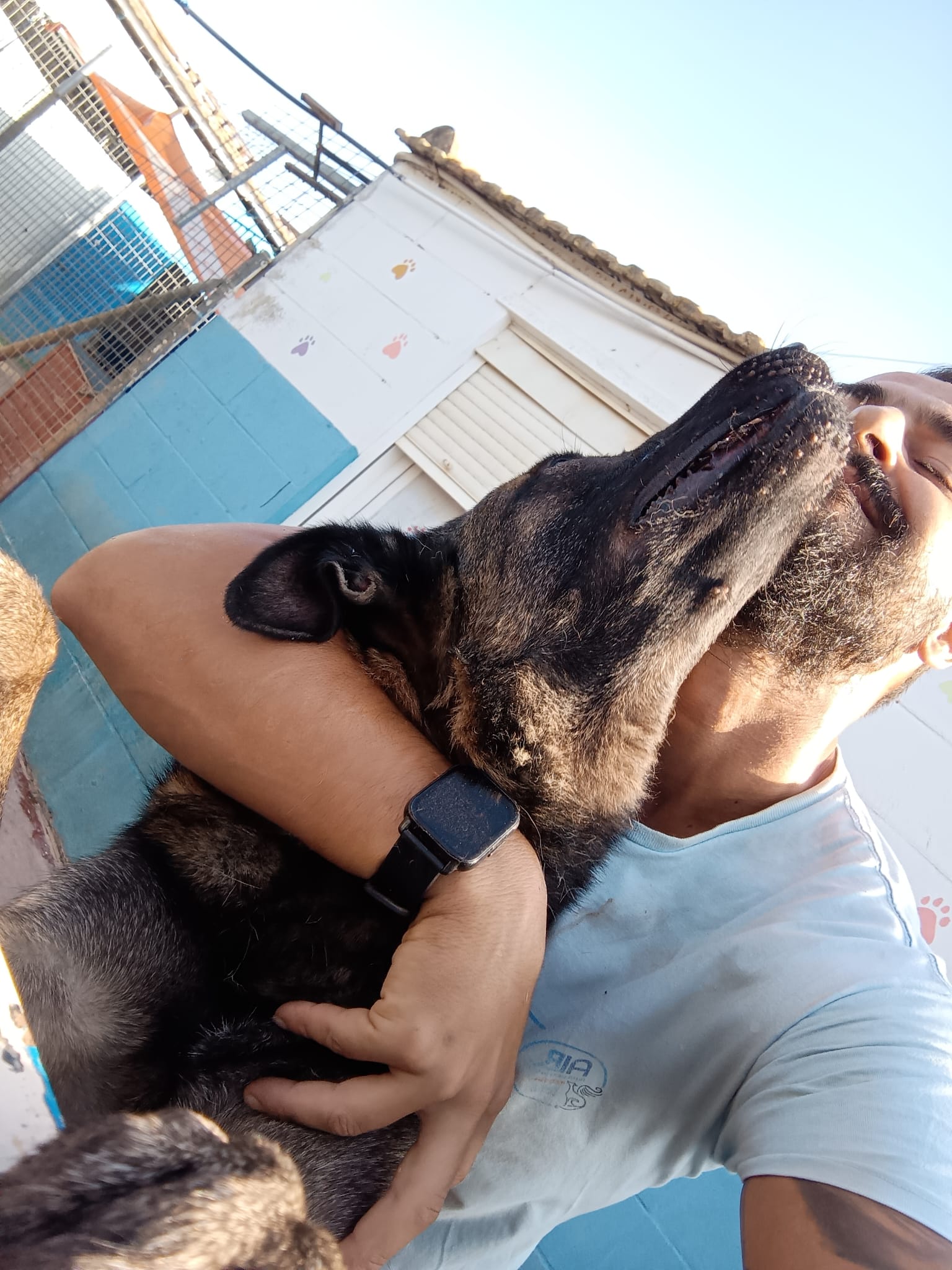 Alma Libre Rescue Espa a Seville