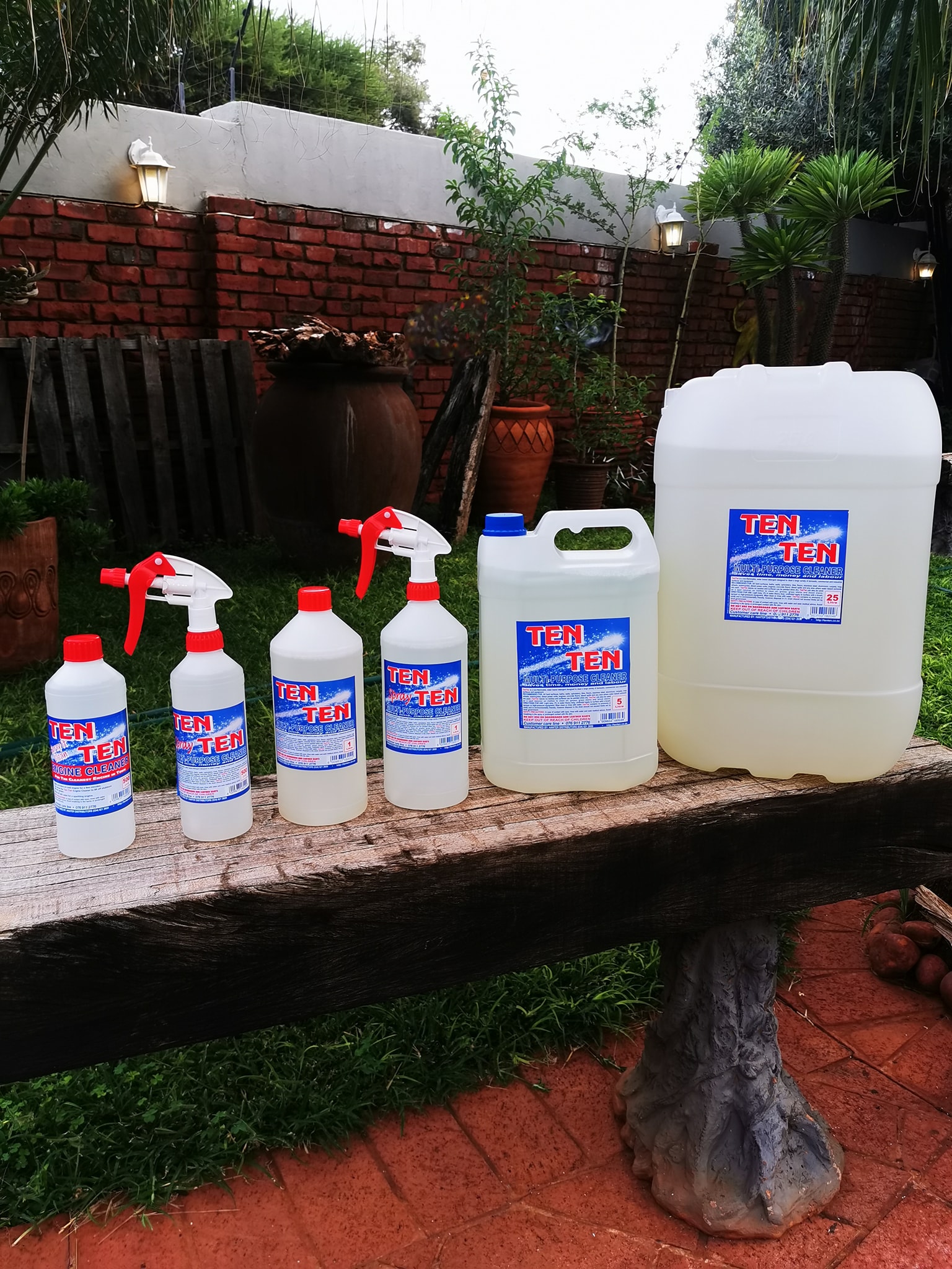 Ten Ten Multi-Purpose Cleaner -Limpopo | Potgietersrus