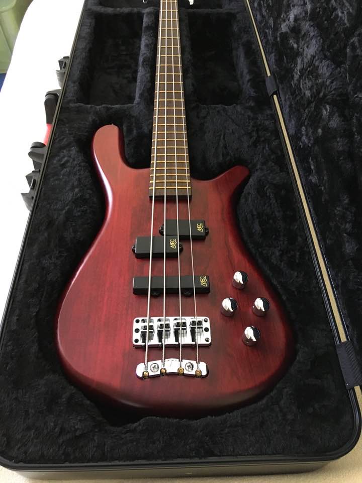 Spector Euro and Warwick Streamer 5-string basses