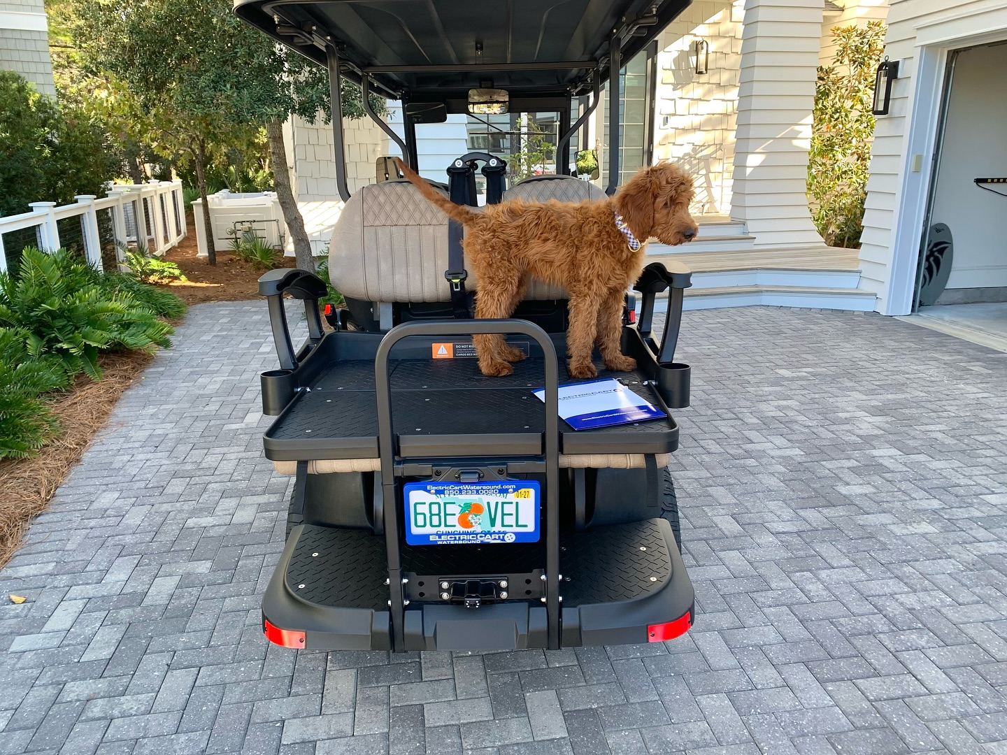 Look who's excited! 👀 The VIP... - Electric Cart Watersound | Facebook