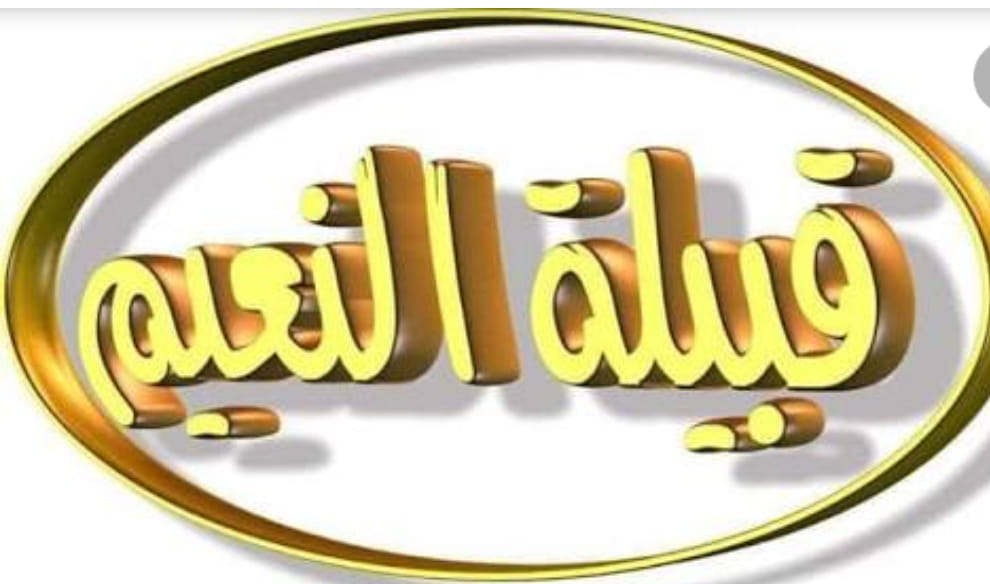 للمضغوططين https://www.youtube.com/@ftniss لايا وصفه عن التتبيلات رح ...