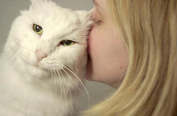 Fetching Looks Pet Grooming Ltd | Canandaigua NY