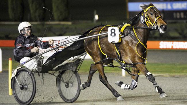 Harness Racing Western Australia