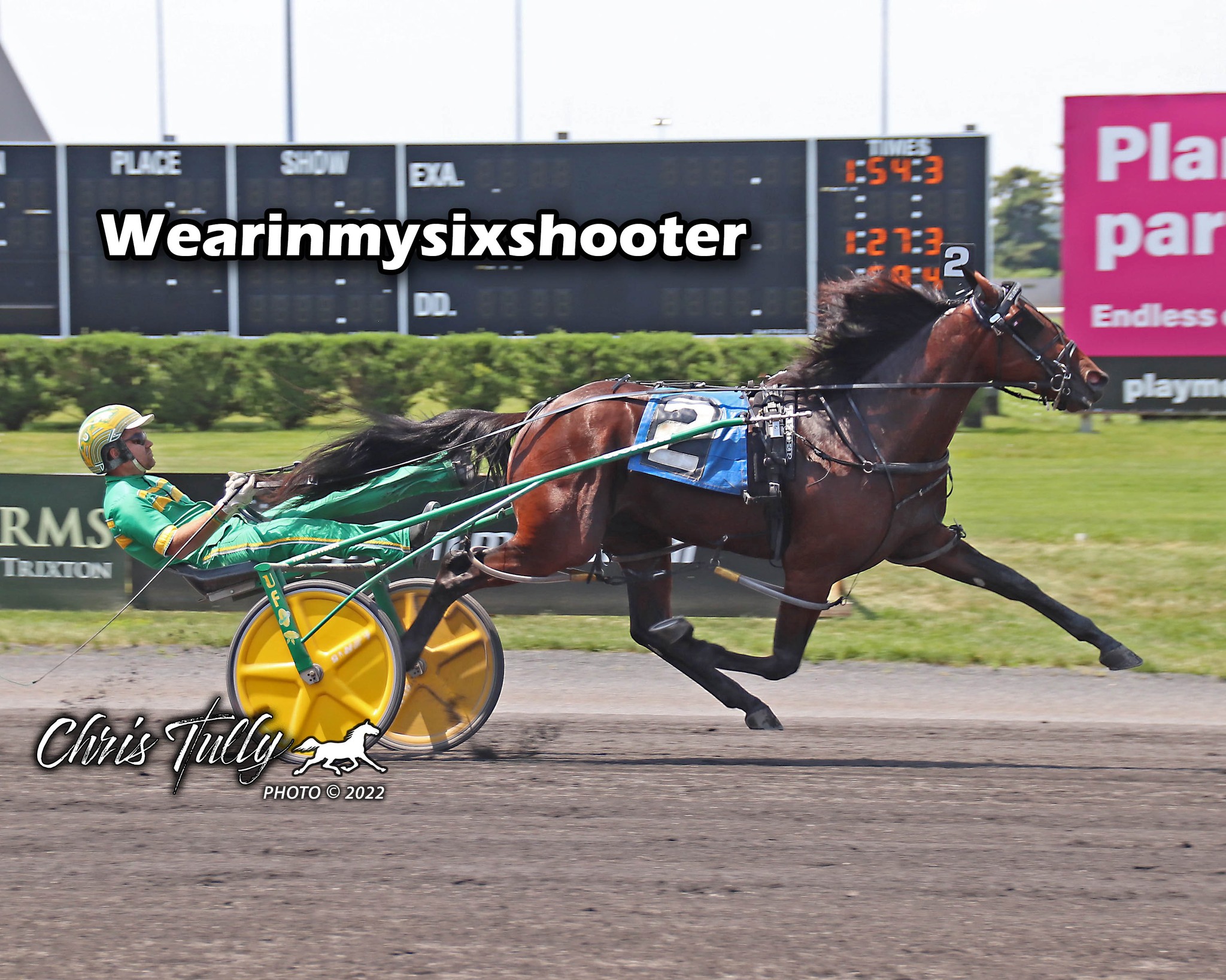 💚🌟JIMDOUGIE ARMITAGE 🌟💚 ——Profile 2-Year-Old Trotting Colt