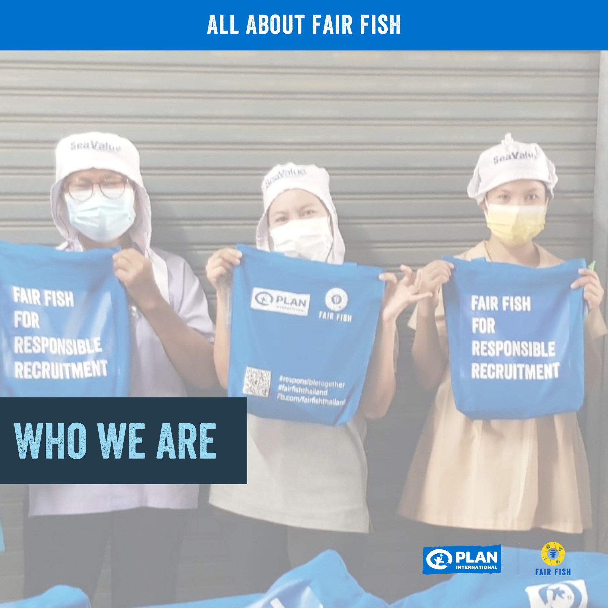 [English Below]... - FAIR Fish Thailand | Facebook