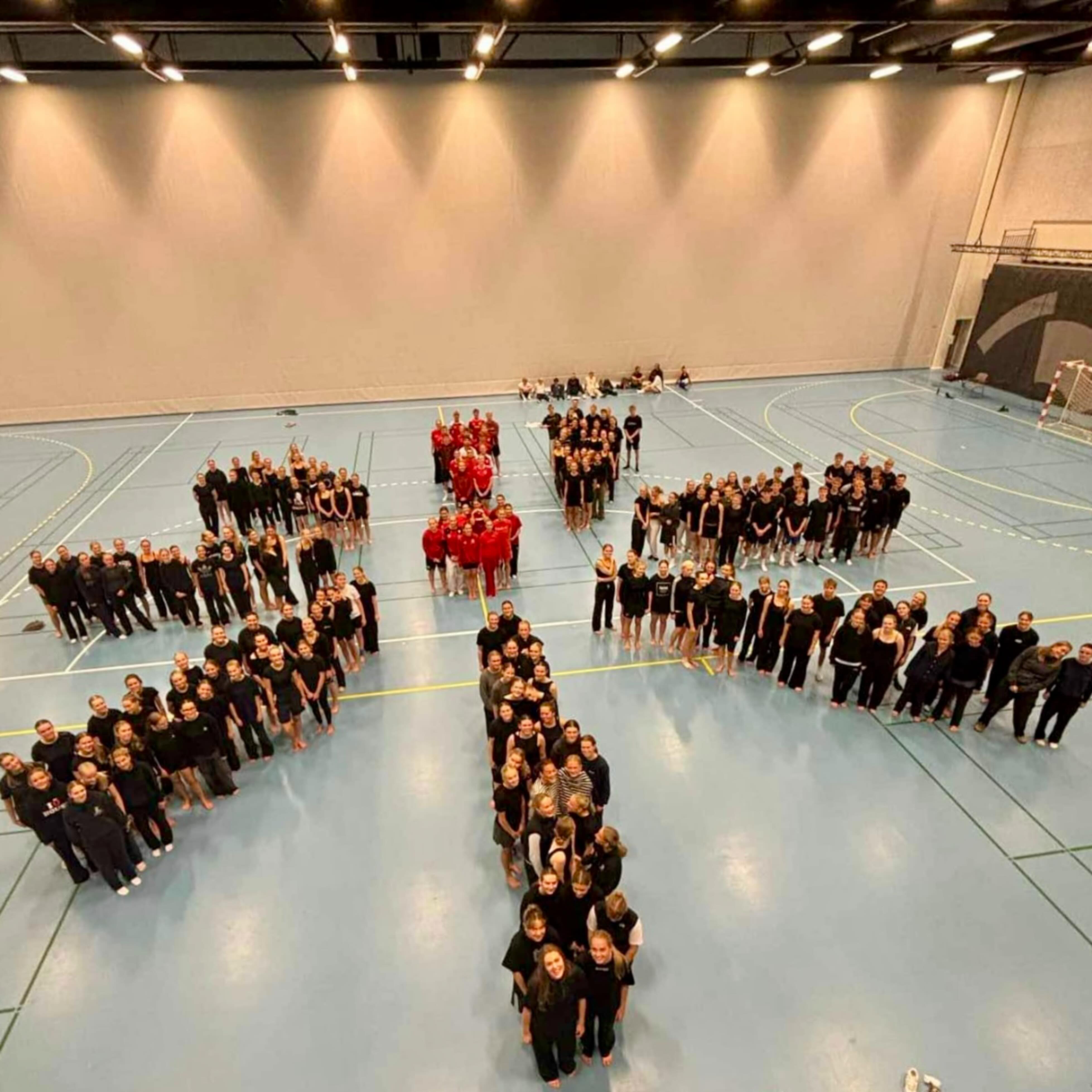 Jelling fS Gymnastik