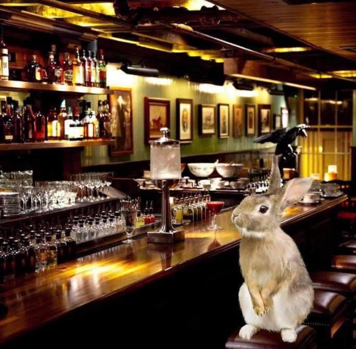 Debbie Willis - A rabbit walks into a pub and says to the...