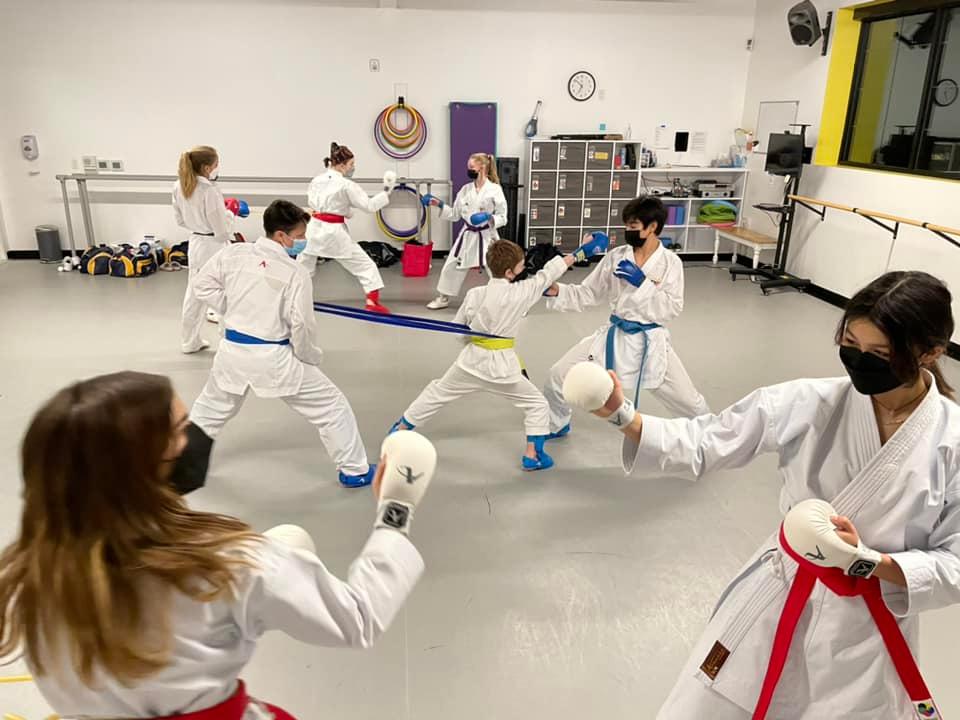 Pacific Shito-Ryu Karate Dojo, LLC