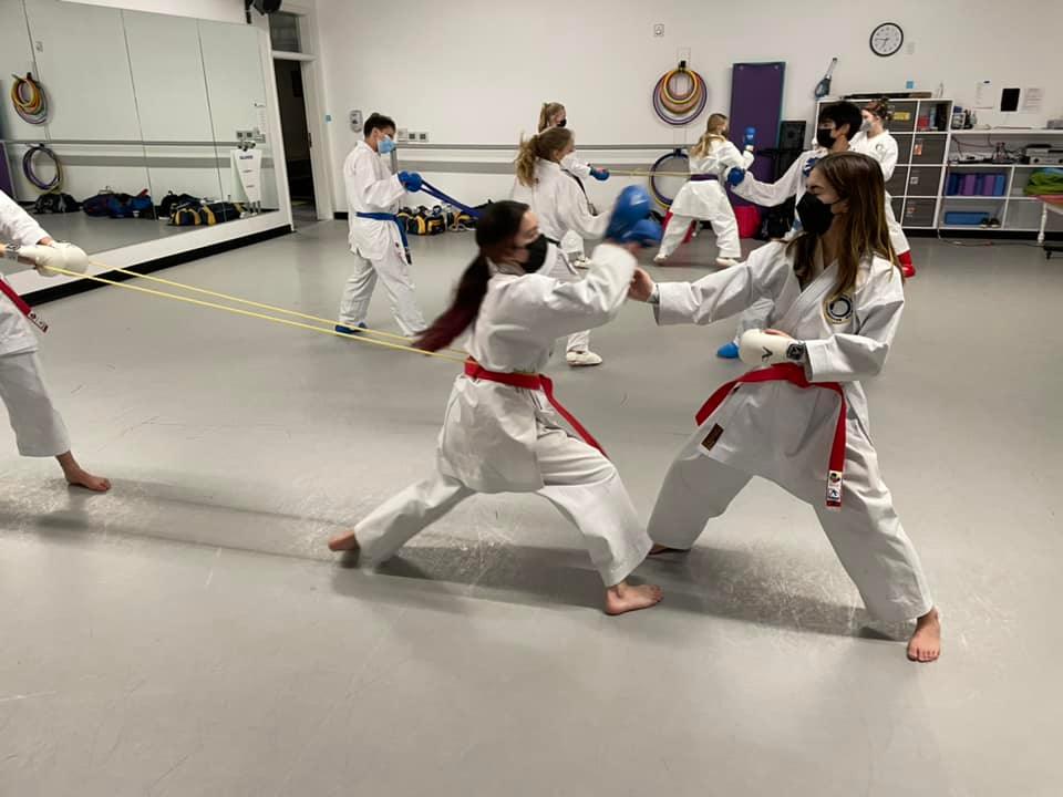 Pacific Shito-Ryu Karate Dojo, LLC
