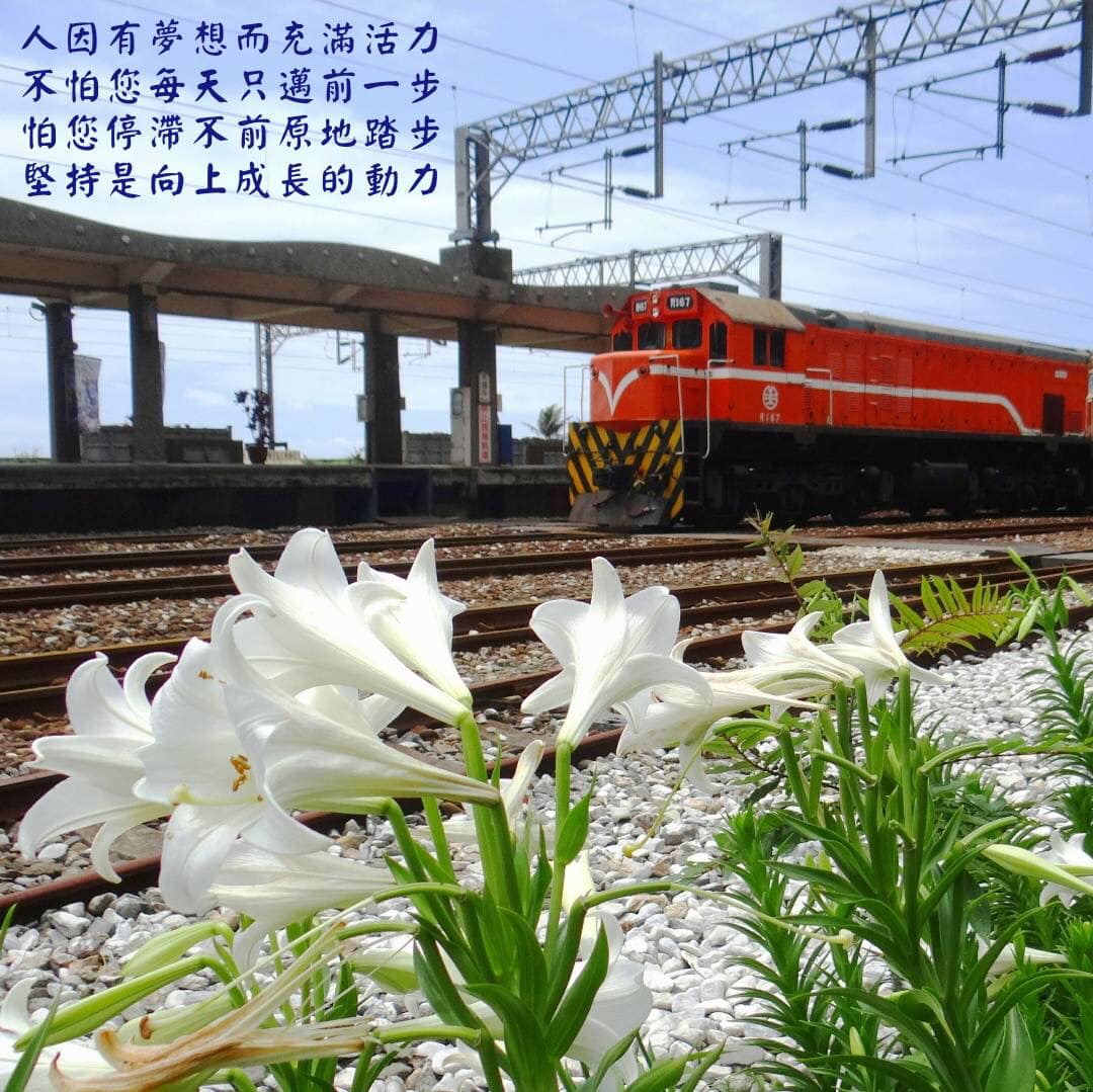 靜思語 - 人因有夢想而充滿活力 不怕您每天只邁前一步 怕您停滯不前原地踏步 堅持是向上成長的動力 祝福：吉祥如意、平安喜樂 | Facebook