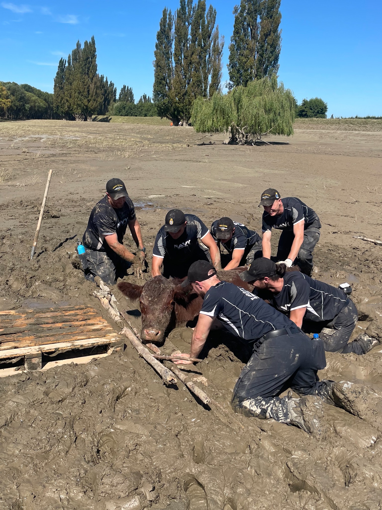 Life-saving rescue🐄 A cow almost... - NZ Defence Force | Facebook