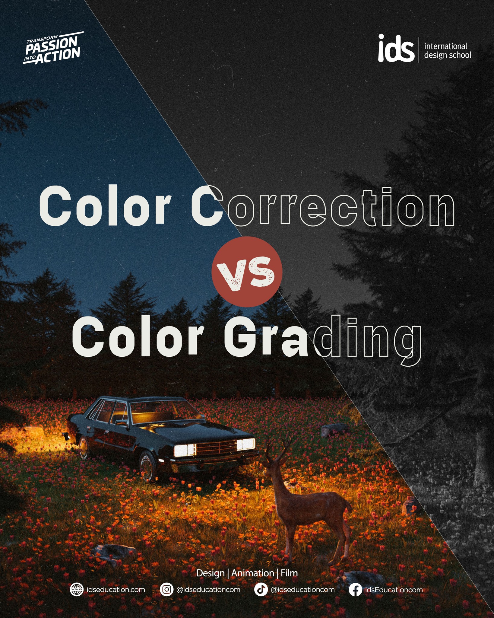 IDS Education - Color grading dan color correction jadi...