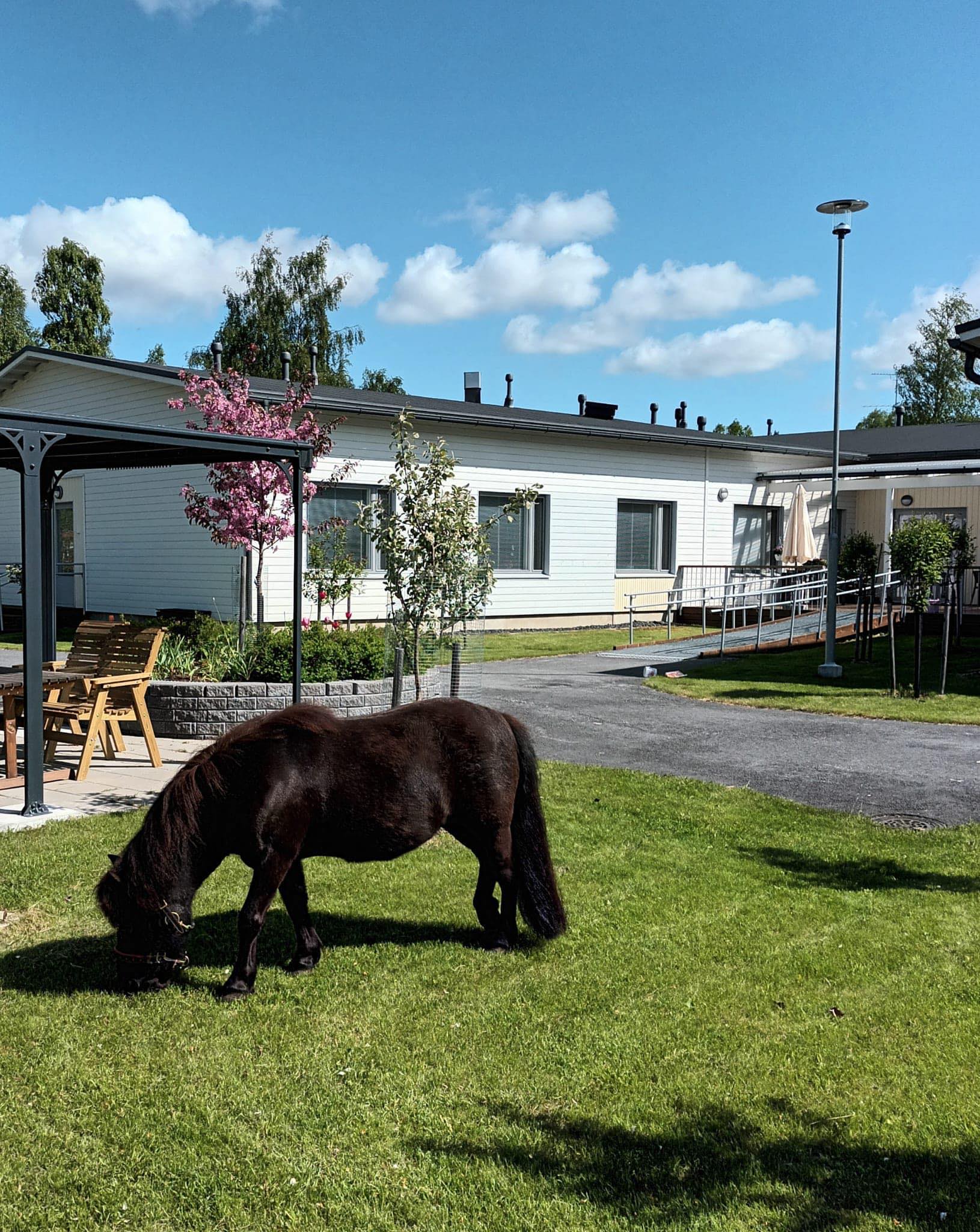 Gith Svensson - Nu har Pers palm börjat att slå skott 🌴Det... | Facebook