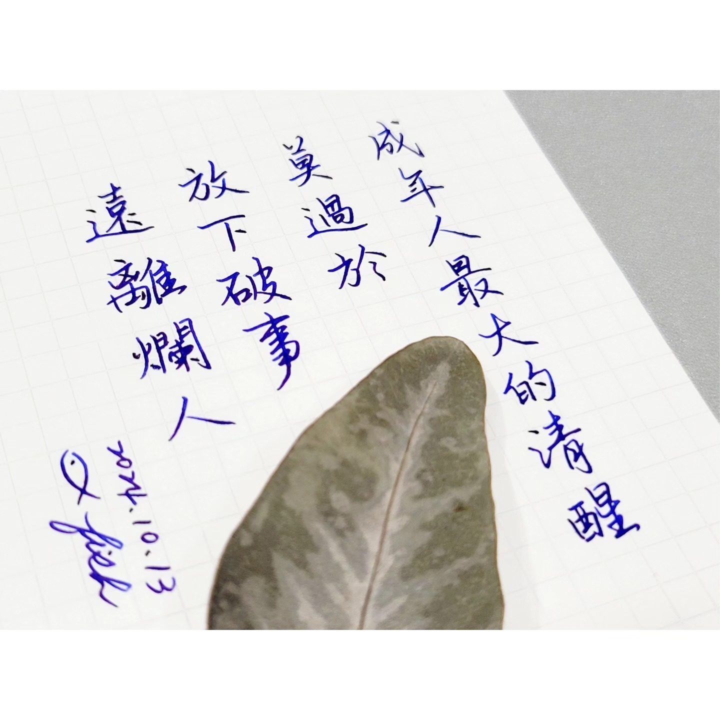 字理行箋 - 自己過得好才是最重要的🤘 其他不必太放在心上 跟抄 @nanocccc #鋼筆字 #手寫字 #萬年筆 #鋼筆 #万年筆 #pen ...