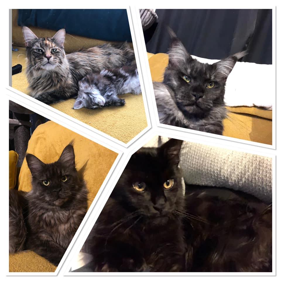 They have grown so much since taking this video 2 weeks ago | Micatta ...