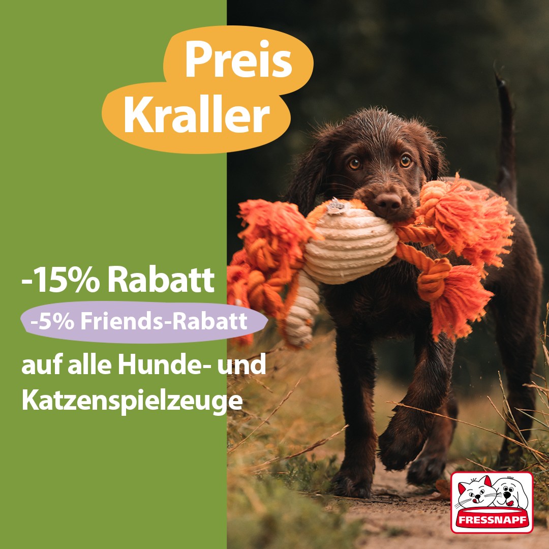 croozer hundebett enna Hundebett L