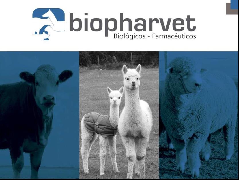 SELABBIT Protección para tu conejito 🛡️ Aplicación fácil y rápida para ...