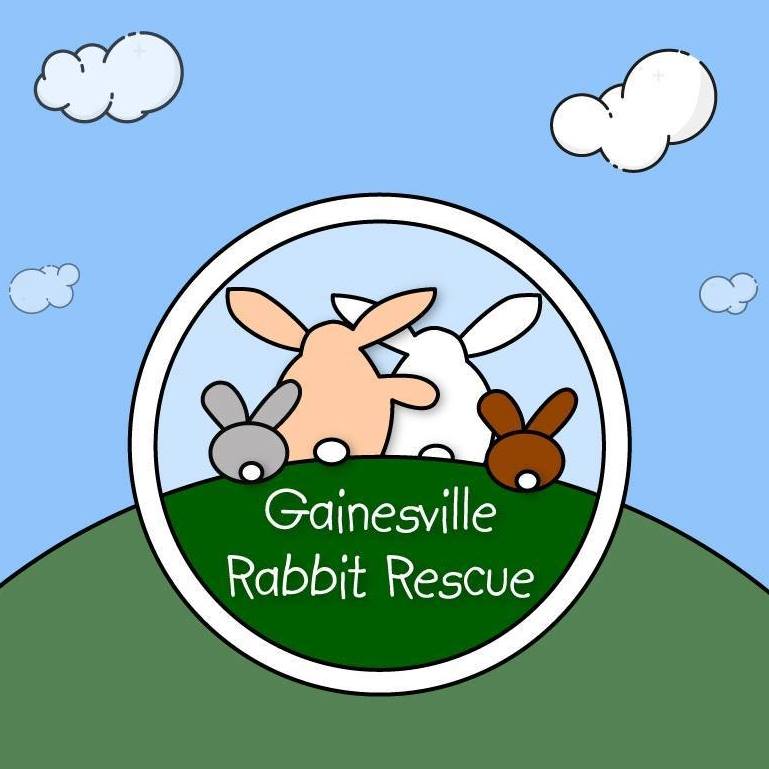 For Colorado rabbits - Gainesville Rabbit Rescue | Facebook
