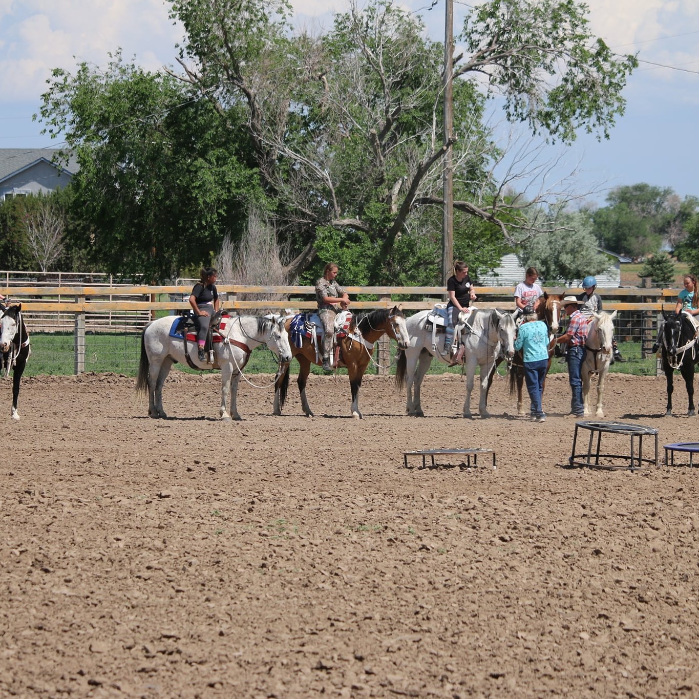 Red Top Ranch Trickriding School | Boone CO