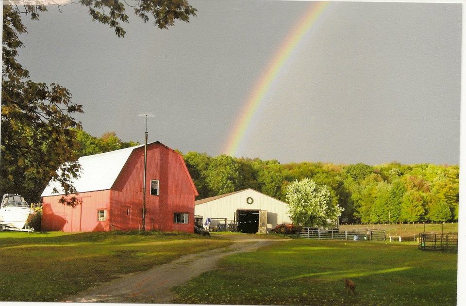 Neigh Haven Stables, L.L.C. | Ludington MI
