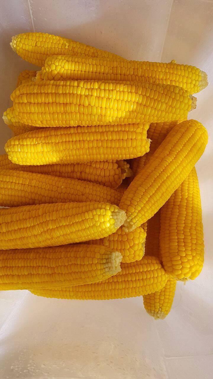 Raspados Y Elotes... - Raspados Y Elotes dulces Del Norte