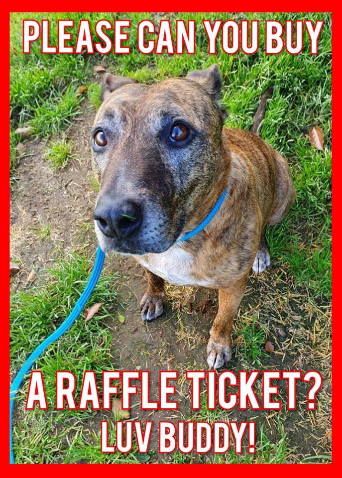Rescue Hub - 🎉 RAFFLE DRAWN!! CONGRATULATIONS TO OUR THREE...