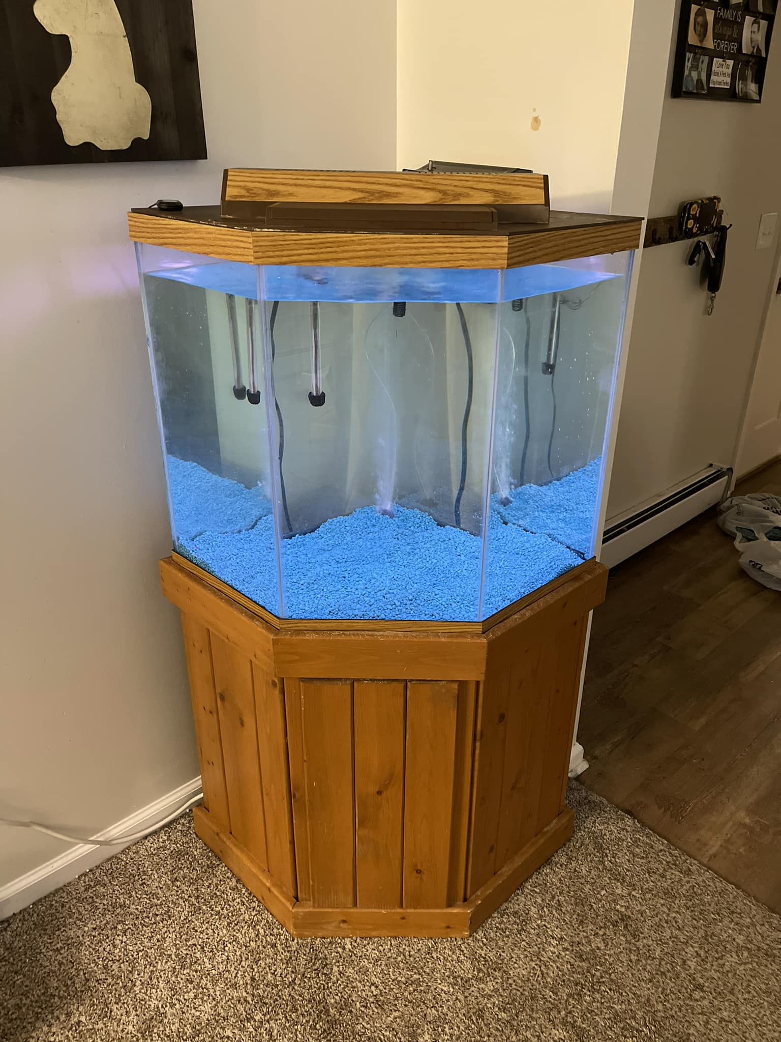 48 litre fish box tank Planet Aquarium 1/2 x 24 1/2 x 25  Aqua-Vault The rear sump areas and overflows (if your specific aquarium is equipped) remain open and are not covered by the lid What is the fish capacity