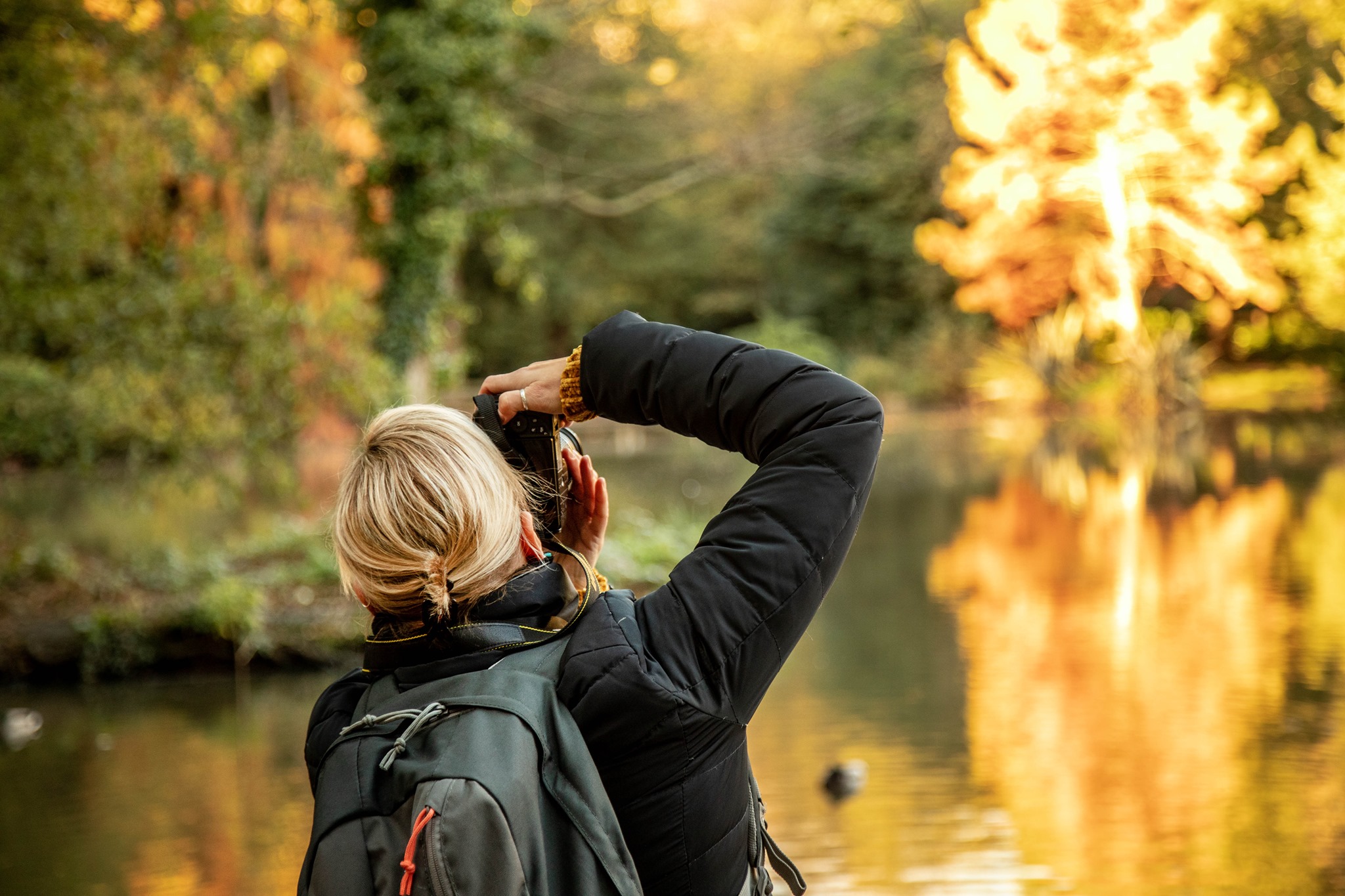 🍂 AUTUMN COLOR GRADING Basic Adjustments * Brightness: -4 * Contrast ...