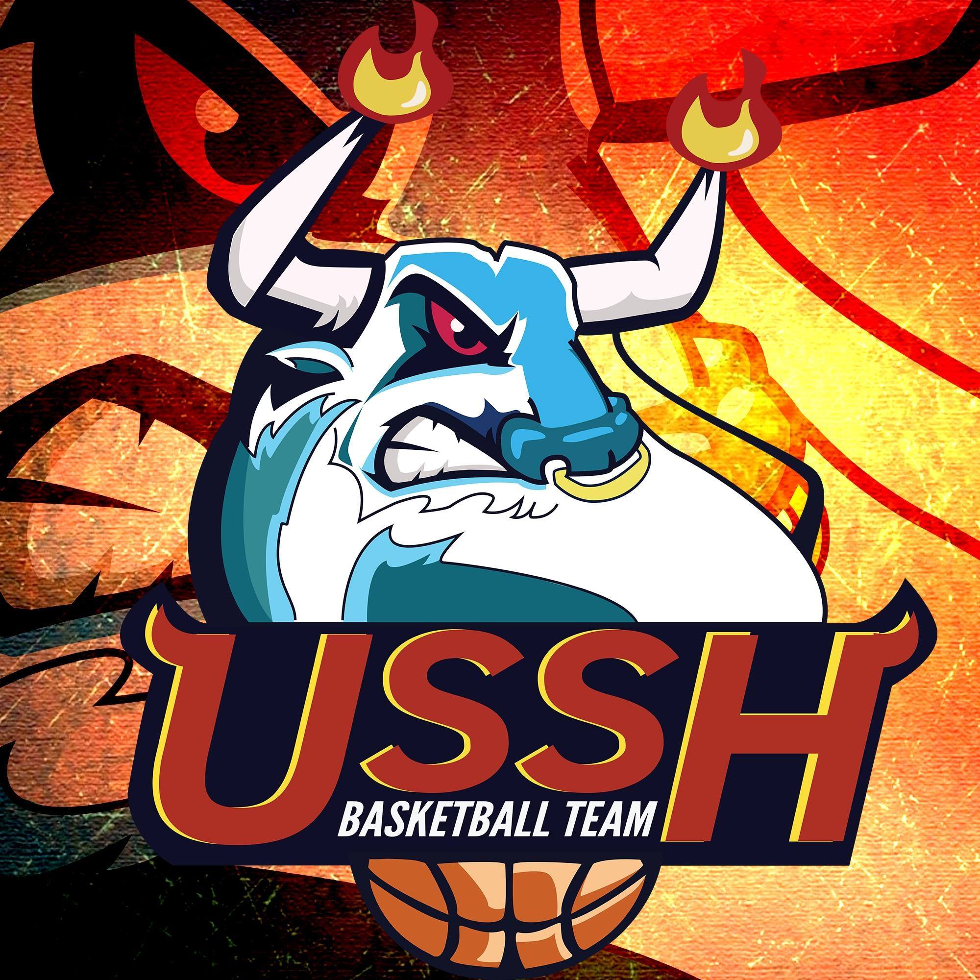 💘 HAI KIỂU NGƯỜI Ở USSHBT NHÂN... - USSH - Basketball Team | Facebook