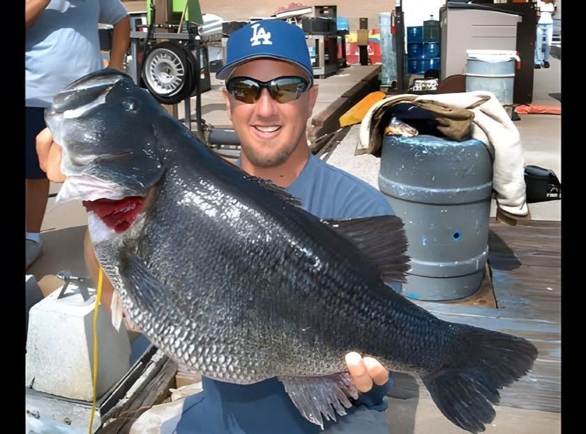Absolute dream Bass from Lake Dixon in Southern California - the