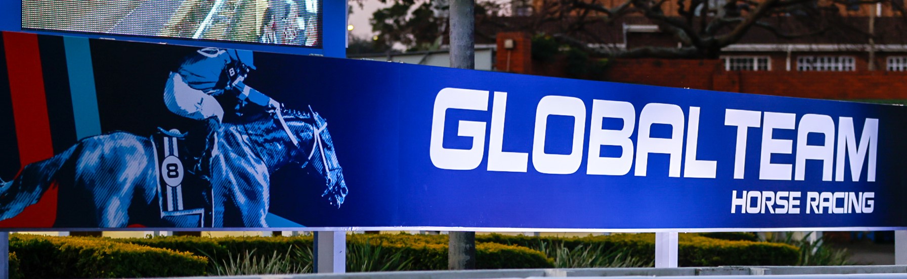 Global Team Horse Racing