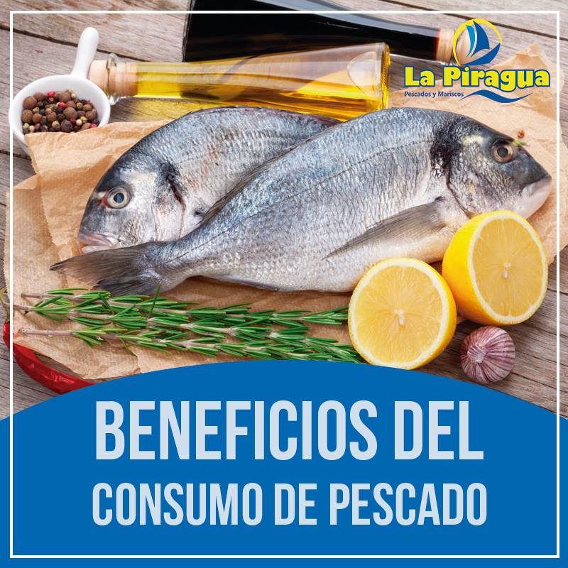 El pescado es un alimento que... - Distribuidora La Piragua