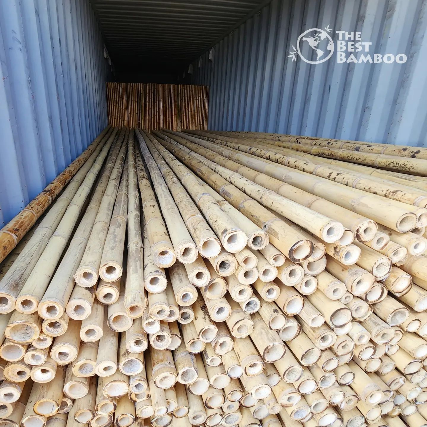 The Best - The Best Bamboo® Poles & Rolling Bamboo Fences. What a ...