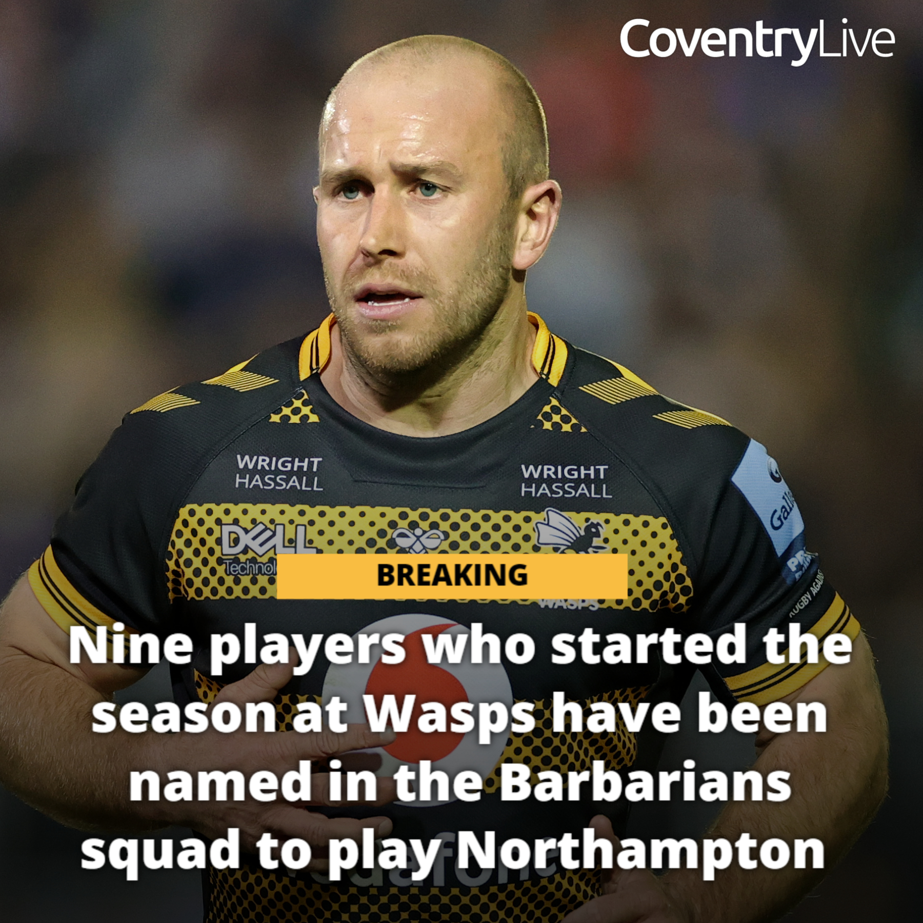 Wasps Rugby Live