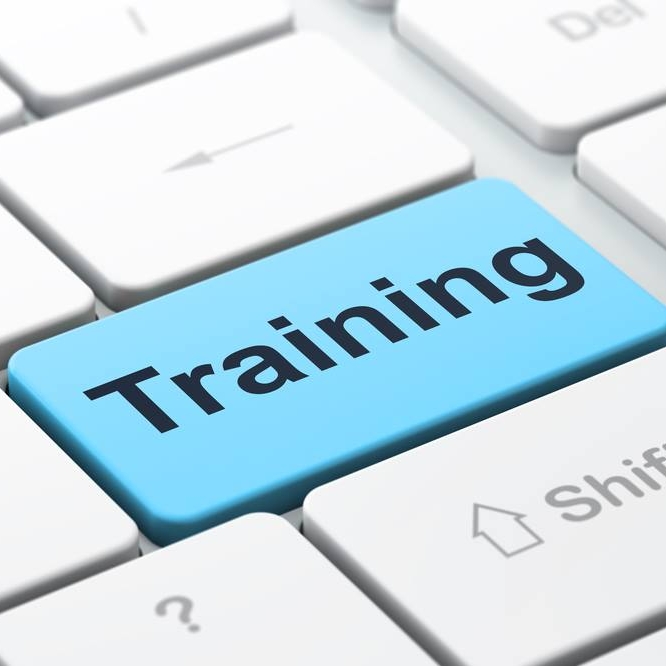 Training for Employment